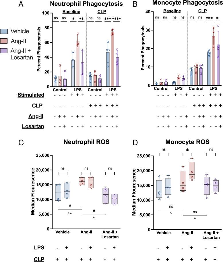 https://cdn.ncbi.nlm.nih.gov/pmc/blobs/ff08/9407661/b048eedf9e35/pnas.2211370119fig04.jpg