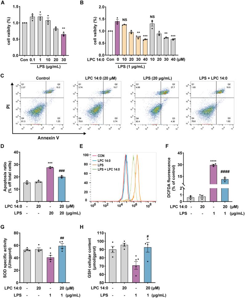 https://cdn.ncbi.nlm.nih.gov/pmc/blobs/ff08/9712772/52eabed6242c/gr3.jpg