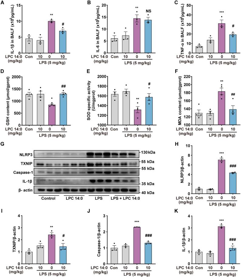 https://cdn.ncbi.nlm.nih.gov/pmc/blobs/ff08/9712772/8776d101ca1e/gr6.jpg