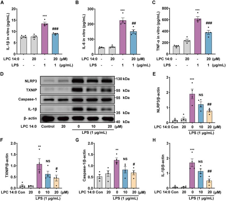 https://cdn.ncbi.nlm.nih.gov/pmc/blobs/ff08/9712772/cd10a1c17c01/gr4.jpg