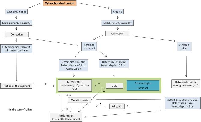 https://cdn.ncbi.nlm.nih.gov/pmc/blobs/ff0a/10958247/3f0f0c2006b3/EOR-23-0075fig1.jpg