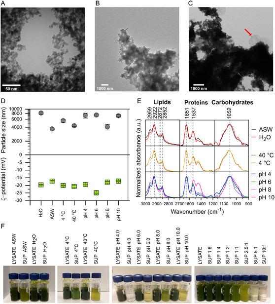 https://cdn.ncbi.nlm.nih.gov/pmc/blobs/ff0a/11935842/68ef13c8636e/SMSC-3-2300064-g004.jpg