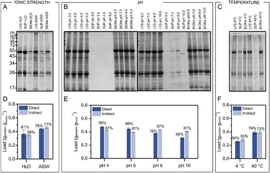 https://cdn.ncbi.nlm.nih.gov/pmc/blobs/ff0a/11935842/868cb41cead6/SMSC-3-2300064-g006.jpg