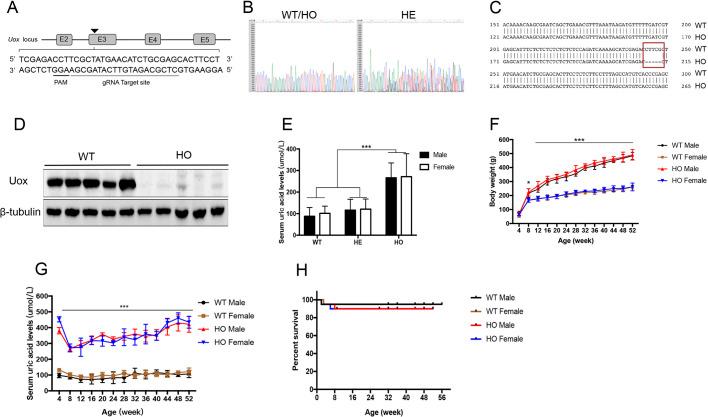 https://cdn.ncbi.nlm.nih.gov/pmc/blobs/ff0c/8015218/ae9b2e46b022/dmm-14-048041-g1.jpg