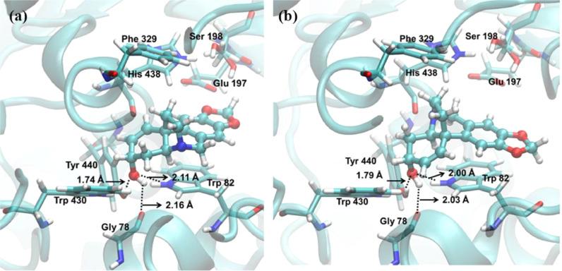https://cdn.ncbi.nlm.nih.gov/pmc/blobs/ff10/7500283/67a4e1d166b1/gr6_lrg.jpg