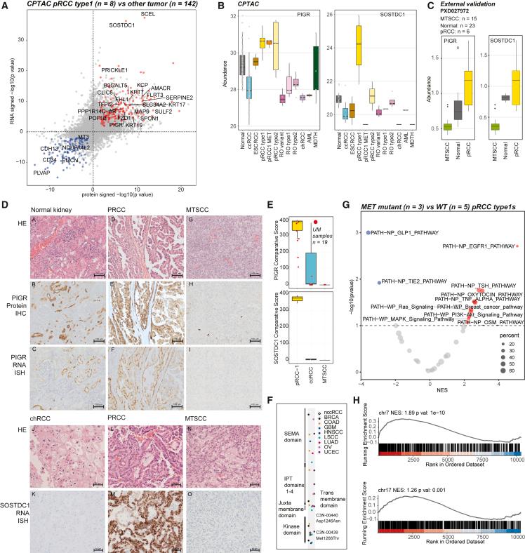 https://cdn.ncbi.nlm.nih.gov/pmc/blobs/ff12/11148773/06f6fb34faf4/gr6.jpg