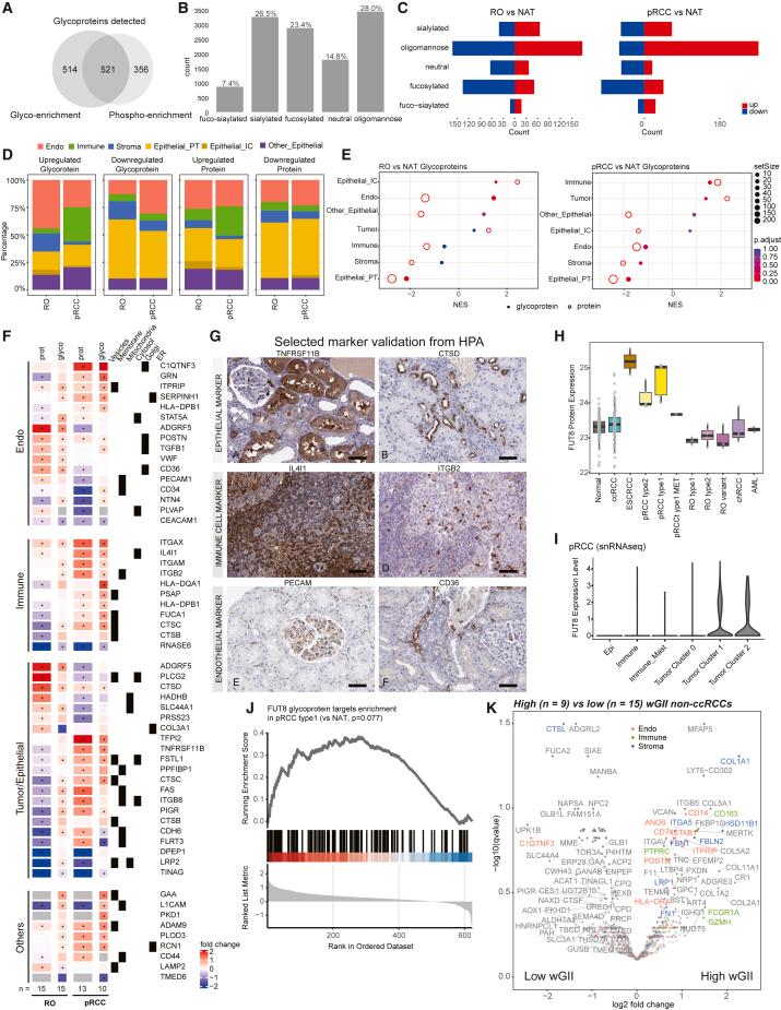 https://cdn.ncbi.nlm.nih.gov/pmc/blobs/ff12/11148773/ff0789e503a7/gr4.jpg
