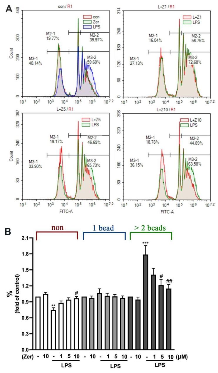 https://cdn.ncbi.nlm.nih.gov/pmc/blobs/ff13/9783216/67a41155d4cb/nutrients-14-05402-g003.jpg