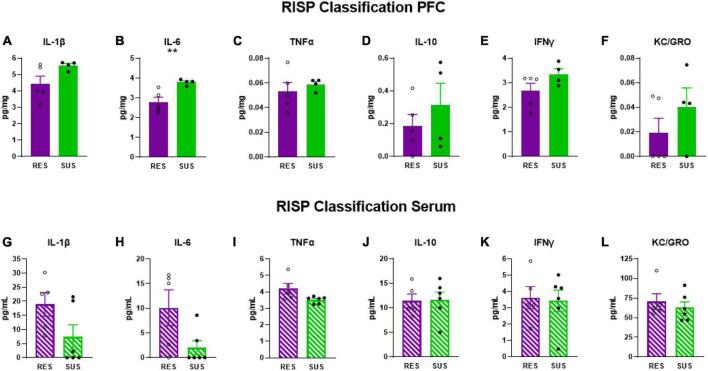 https://cdn.ncbi.nlm.nih.gov/pmc/blobs/ff14/10090279/545d512e2779/fnbeh-17-1112837-g002.jpg