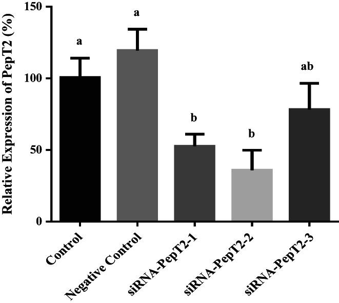 https://cdn.ncbi.nlm.nih.gov/pmc/blobs/ff14/10261739/ac28328fde15/FSN3-11-3550-g004.jpg