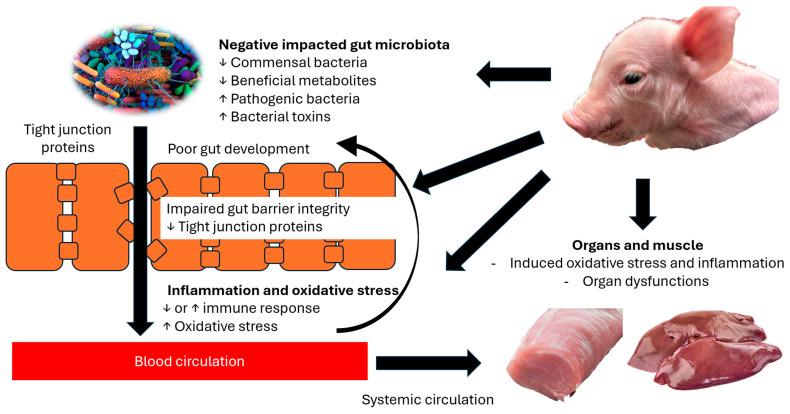 https://cdn.ncbi.nlm.nih.gov/pmc/blobs/ff14/12345430/63c42cd4fe3b/animals-15-02231-g002.jpg
