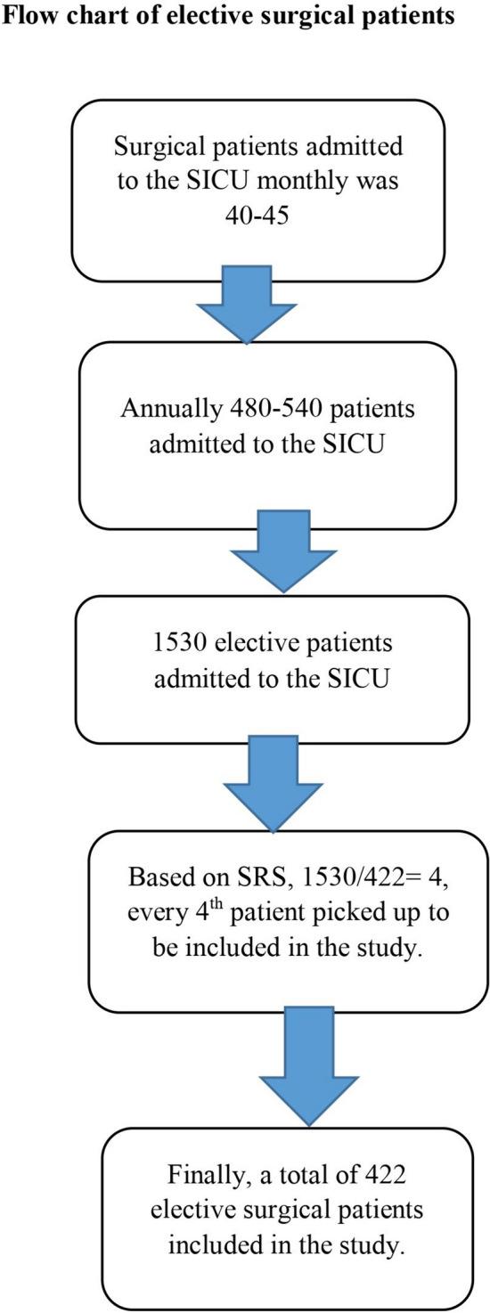 https://cdn.ncbi.nlm.nih.gov/pmc/blobs/ff15/11103962/4776470ba4ff/40001_2024_1887_Fig1_HTML.jpg