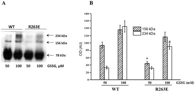https://cdn.ncbi.nlm.nih.gov/pmc/blobs/ff16/3382611/e1505376dfd7/pone.0039408.g006.jpg