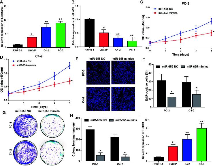 https://cdn.ncbi.nlm.nih.gov/pmc/blobs/ff17/7905206/ec6fd00a4b88/fonc-11-636965-g003.jpg
