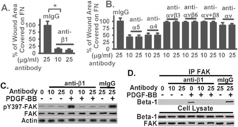 https://cdn.ncbi.nlm.nih.gov/pmc/blobs/ff19/4725867/847bbfe80c9e/srep19276-f3.jpg