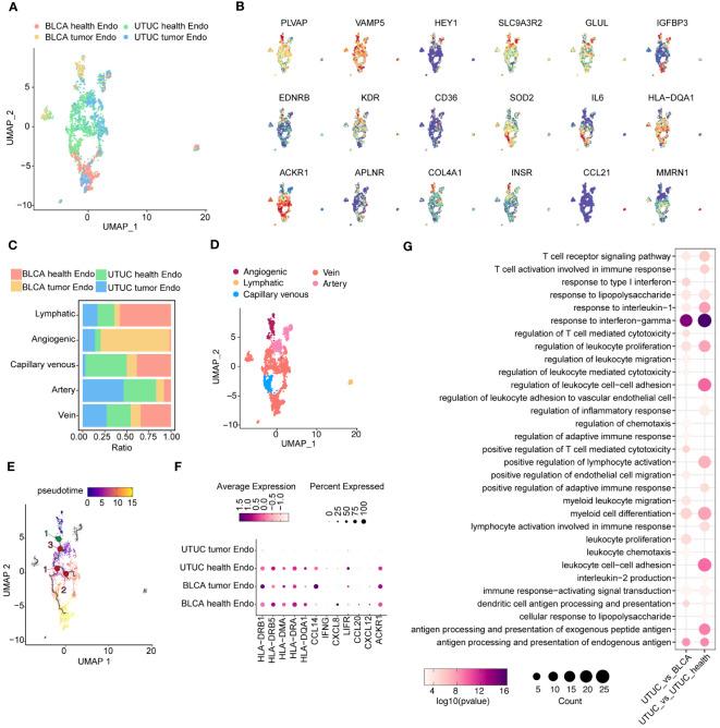 https://cdn.ncbi.nlm.nih.gov/pmc/blobs/ff1a/11187293/bb8ce4ffb968/fimmu-15-1298087-g005.jpg