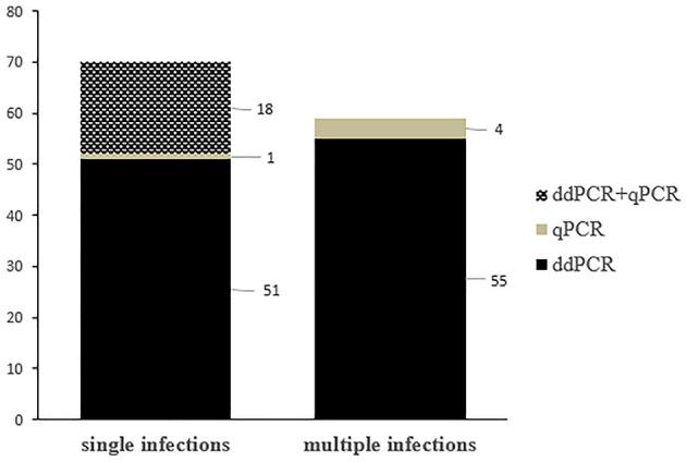 https://cdn.ncbi.nlm.nih.gov/pmc/blobs/ff1a/8645557/151e5324ee2b/fvets-08-790392-g0003.jpg