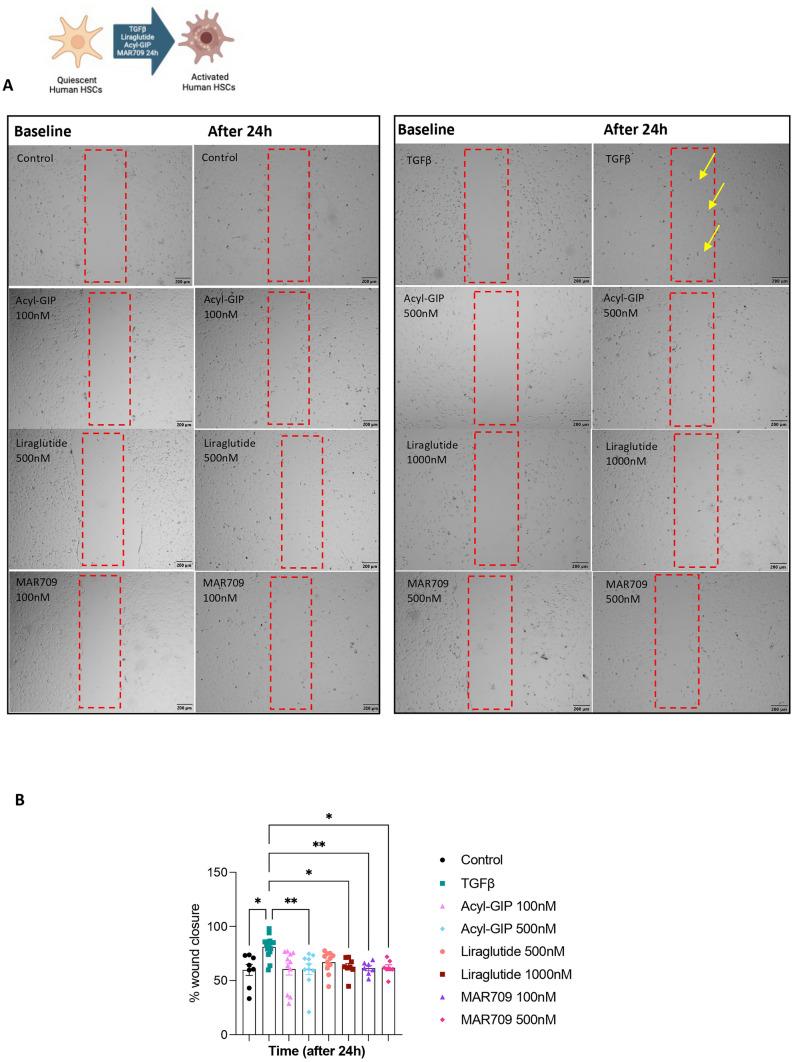 https://cdn.ncbi.nlm.nih.gov/pmc/blobs/ff1b/11604888/132af0c7de46/18_2024_5507_Fig7_HTML.jpg
