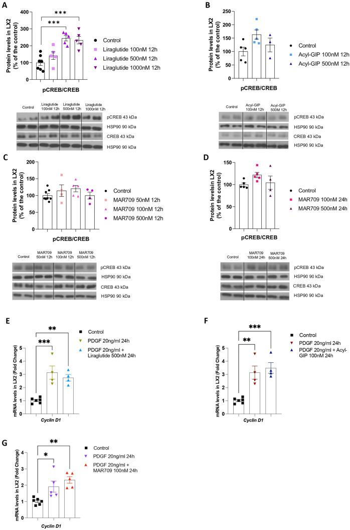 https://cdn.ncbi.nlm.nih.gov/pmc/blobs/ff1b/11604888/75043ec99d98/18_2024_5507_Fig6_HTML.jpg