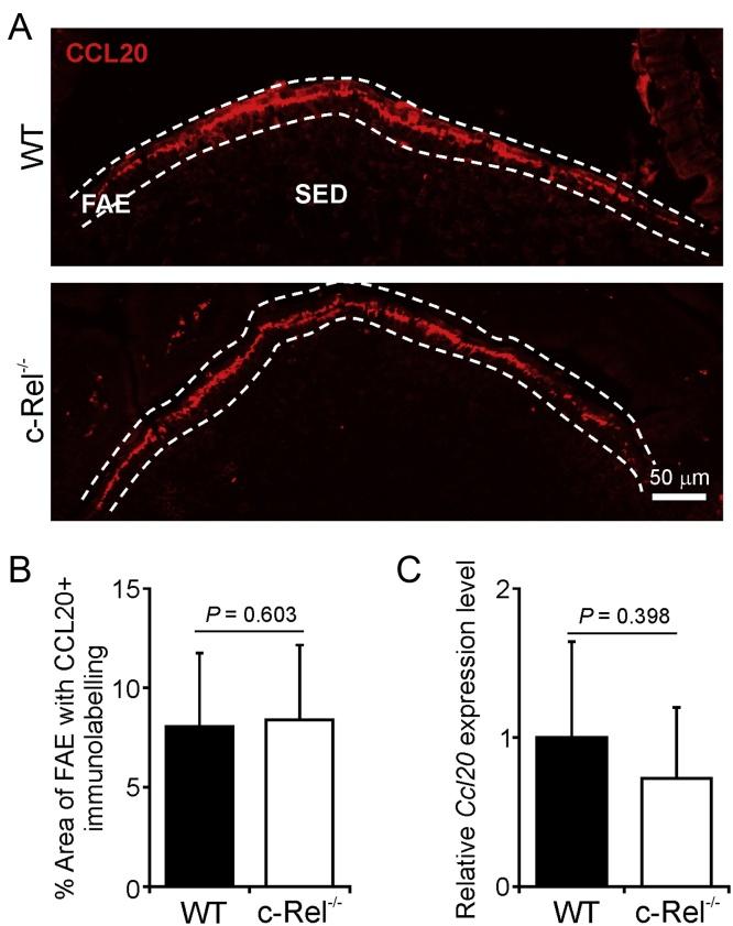 https://cdn.ncbi.nlm.nih.gov/pmc/blobs/ff1b/5152706/af6b7908e050/gr7.jpg