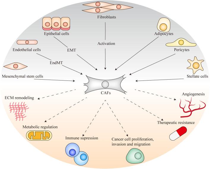 https://cdn.ncbi.nlm.nih.gov/pmc/blobs/ff1e/8638446/4d714b132c1f/12943_2021_1463_Fig1_HTML.jpg