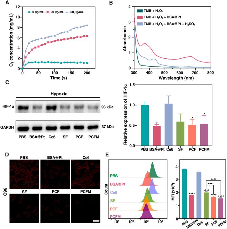 https://cdn.ncbi.nlm.nih.gov/pmc/blobs/ff1f/11472109/2408304523ea/gr2.jpg