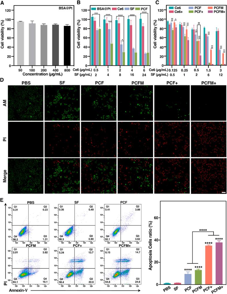 https://cdn.ncbi.nlm.nih.gov/pmc/blobs/ff1f/11472109/3692f7cea47f/gr4.jpg