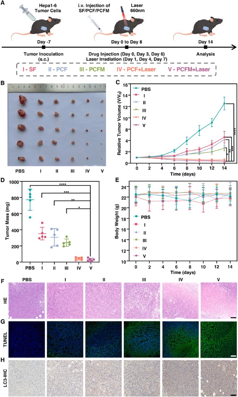 https://cdn.ncbi.nlm.nih.gov/pmc/blobs/ff1f/11472109/7514704e5c06/gr8.jpg