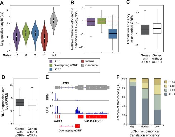 https://cdn.ncbi.nlm.nih.gov/pmc/blobs/ff1f/4739776/166329f5a4a7/elife-08890-fig6.jpg