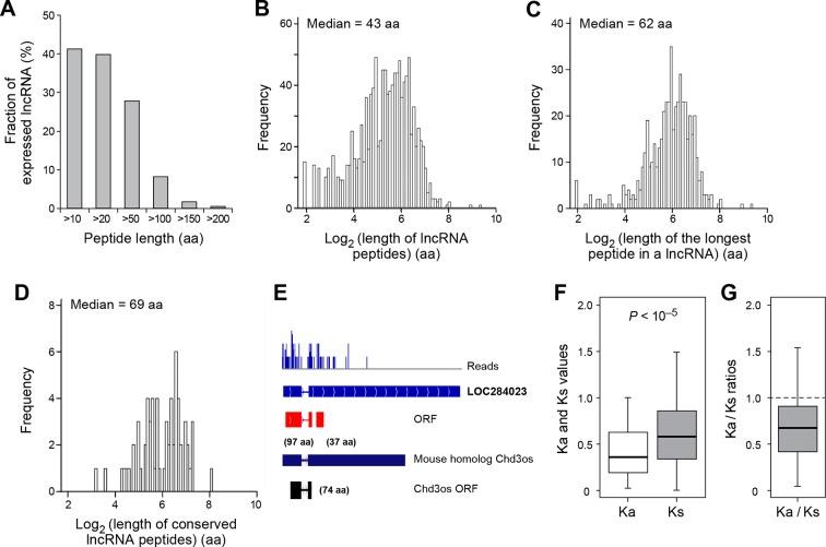https://cdn.ncbi.nlm.nih.gov/pmc/blobs/ff1f/4739776/2ca0ff24c0b9/elife-08890-fig4.jpg