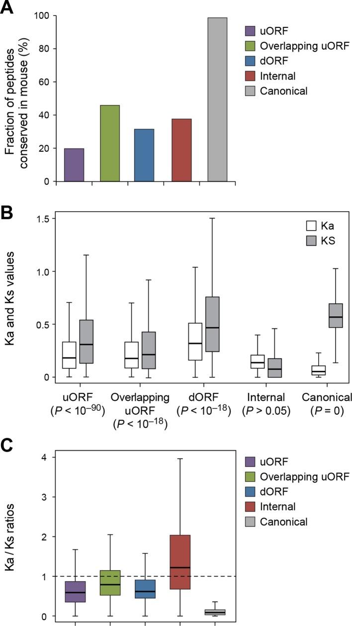 https://cdn.ncbi.nlm.nih.gov/pmc/blobs/ff1f/4739776/709f6a54e25d/elife-08890-fig7.jpg