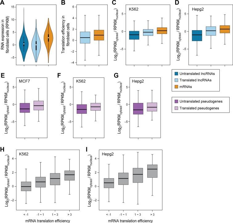 https://cdn.ncbi.nlm.nih.gov/pmc/blobs/ff1f/4739776/c3355135d3ee/elife-08890-fig3-figsupp1.jpg
