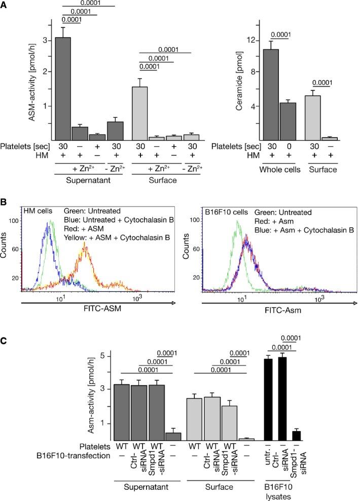 https://cdn.ncbi.nlm.nih.gov/pmc/blobs/ff20/4459814/acb7030abe9e/emmm0007-0714-f3.jpg