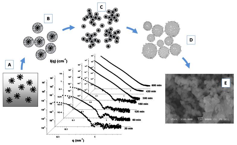 https://cdn.ncbi.nlm.nih.gov/pmc/blobs/ff20/7730346/3869ac5a26de/molecules-25-05624-g008.jpg