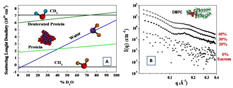 https://cdn.ncbi.nlm.nih.gov/pmc/blobs/ff20/7730346/e206da0252dc/molecules-25-05624-g003.jpg
