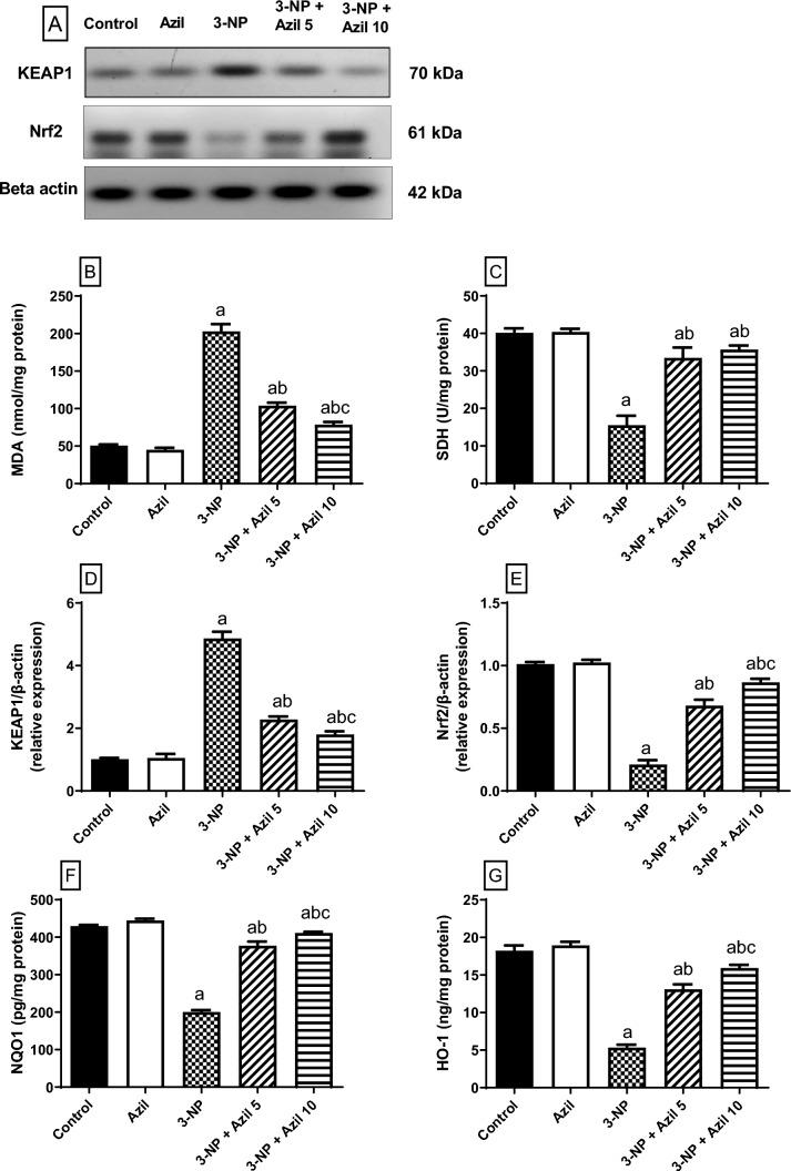 https://cdn.ncbi.nlm.nih.gov/pmc/blobs/ff22/10901959/176171d23026/11064_2023_4083_Fig5_HTML.jpg