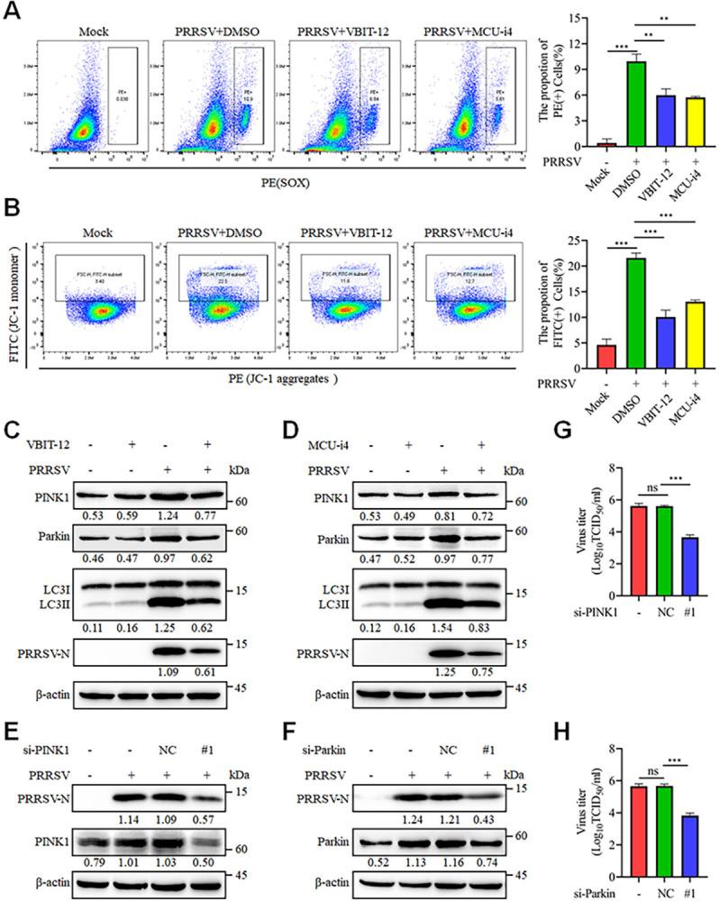 https://cdn.ncbi.nlm.nih.gov/pmc/blobs/ff23/11761150/039eeea80a69/ppat.1012872.g008.jpg