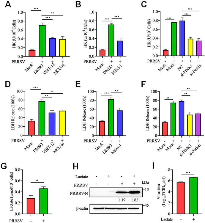 https://cdn.ncbi.nlm.nih.gov/pmc/blobs/ff23/11761150/0e101f447ff0/ppat.1012872.g010.jpg