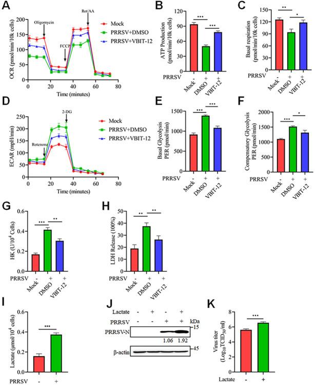 https://cdn.ncbi.nlm.nih.gov/pmc/blobs/ff23/11761150/1de2d35b7df3/ppat.1012872.g012.jpg