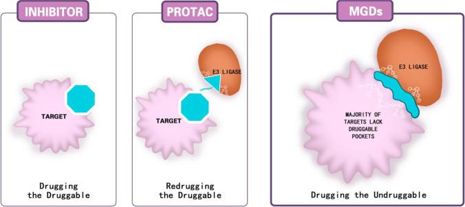 https://cdn.ncbi.nlm.nih.gov/pmc/blobs/ff23/9758247/d938aa67955a/10555_2022_10066_Fig4_HTML.jpg