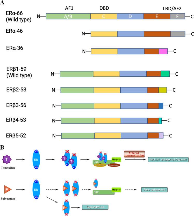 https://cdn.ncbi.nlm.nih.gov/pmc/blobs/ff23/9758247/e1e4e51d9e29/10555_2022_10066_Fig1_HTML.jpg
