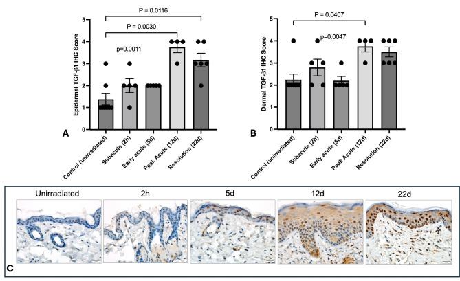 https://cdn.ncbi.nlm.nih.gov/pmc/blobs/ff25/11496547/986a45cbcc4f/41598_2024_76021_Fig4_HTML.jpg