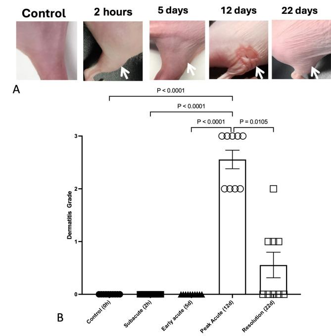 https://cdn.ncbi.nlm.nih.gov/pmc/blobs/ff25/11496547/a05fffc510d4/41598_2024_76021_Fig1_HTML.jpg