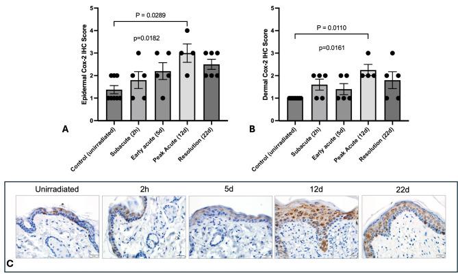 https://cdn.ncbi.nlm.nih.gov/pmc/blobs/ff25/11496547/aaefb56bf492/41598_2024_76021_Fig5_HTML.jpg