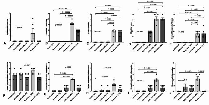 https://cdn.ncbi.nlm.nih.gov/pmc/blobs/ff25/11496547/b71922965845/41598_2024_76021_Fig3_HTML.jpg