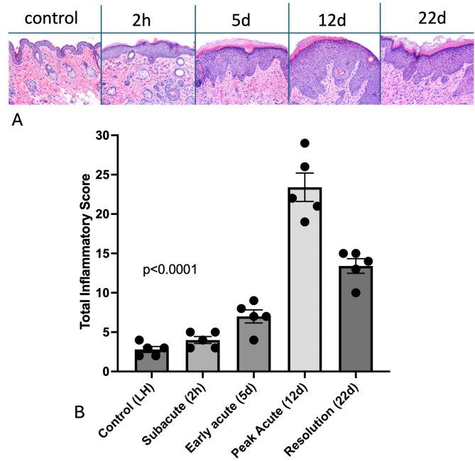 https://cdn.ncbi.nlm.nih.gov/pmc/blobs/ff25/11496547/d012c662fe89/41598_2024_76021_Fig2_HTML.jpg