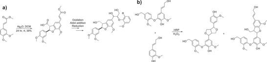 https://cdn.ncbi.nlm.nih.gov/pmc/blobs/ff25/12223482/473143ab8392/CHEM-31-e202500805-g007.jpg