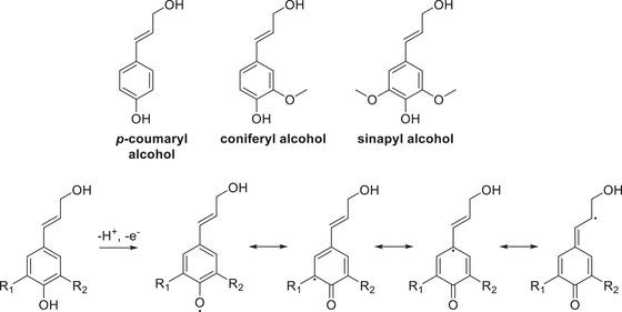https://cdn.ncbi.nlm.nih.gov/pmc/blobs/ff25/12223482/8156792dd020/CHEM-31-e202500805-g024.jpg