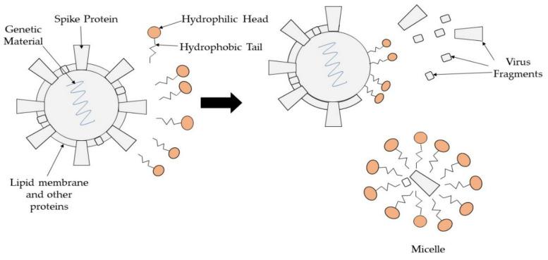 https://cdn.ncbi.nlm.nih.gov/pmc/blobs/ff25/8659939/505e313381eb/polymers-13-04234-g005.jpg