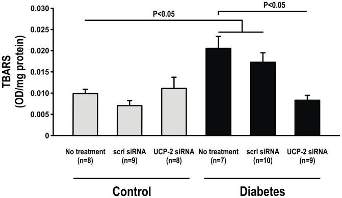 https://cdn.ncbi.nlm.nih.gov/pmc/blobs/ff26/3388100/8ba9543adf1c/pone.0039635.g009.jpg